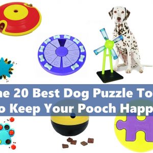 The 20 Best Dog Puzzle Toys