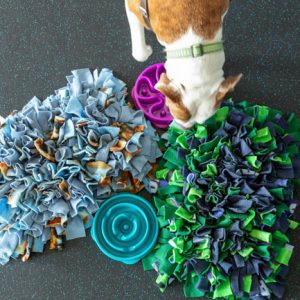 A dog checking out a snuffle mat Dog slow feeders are important tools for keeping your pup safe