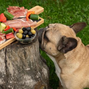 When dogs eat olives, they get health benefits and some concerns