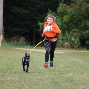 Running leashes allow you and your dog to exercise safely