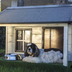 The best dog houses keep your pup safe and warm