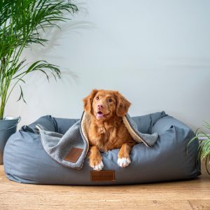 Dog beds for large dogs should cushion joints and bones